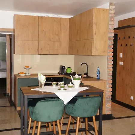Apartment Pod Katedra *