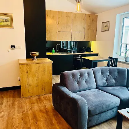 Pod Katedra 아파트 *